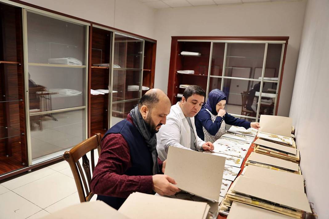 Dünyada sadece o kentimizde yetişiyor! Herbaryumda 400 bitki koruma altına alındı 12